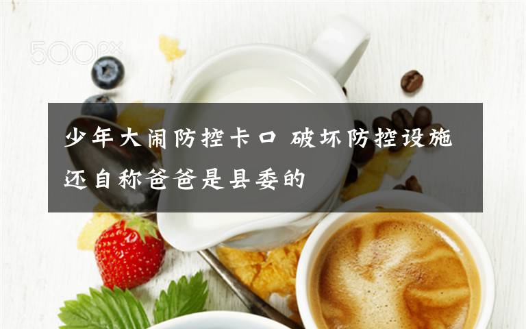 少年大闹防控卡口 破坏防控设施还自称爸爸是县委的