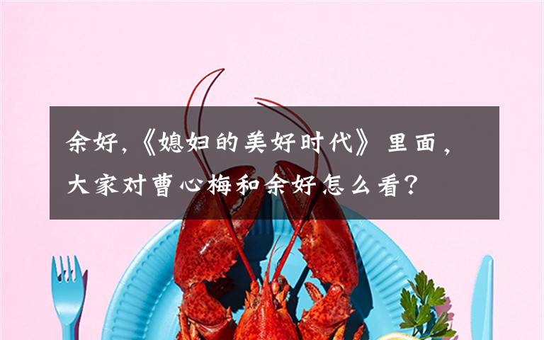 余好,《媳妇的美好时代》里面,大家对曹心梅和余好怎么看?