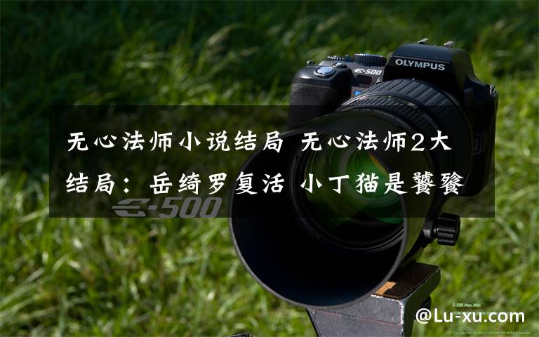 无心法师小说结局 无心法师2大结局:岳绮罗复活 小丁猫是饕餮顾基下场凄惨附分集剧情