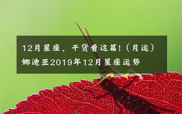 12月星座,干货看这篇!(月运)娜迪亚2019年12月星座运势