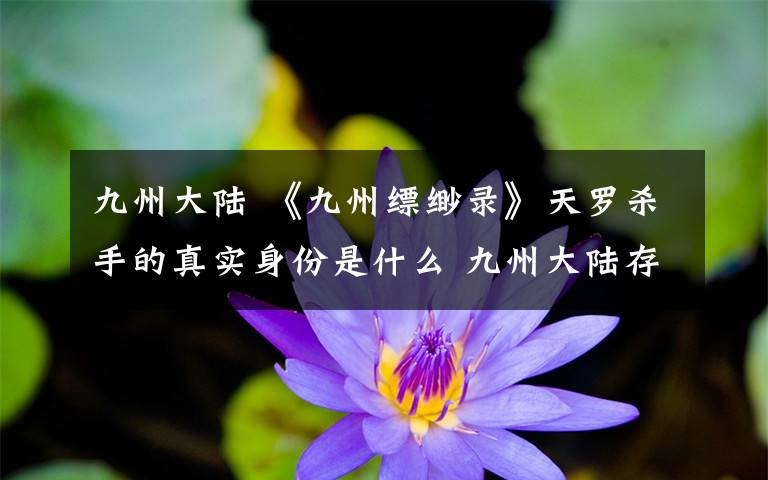 九州大陆 《九州缥缈录》天罗杀手的真实身份是什么 九州大陆存在三大在野势力
