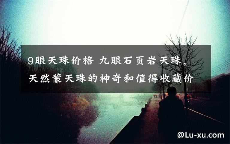 9眼天珠价格 九眼石页岩天珠,天然蒙天珠的神奇和值得收藏价值