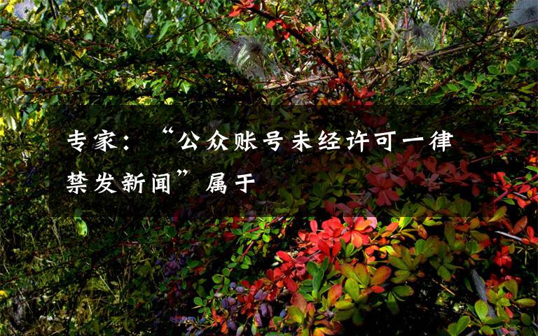 专家:“公众账号未经许可一律禁发新闻”属于