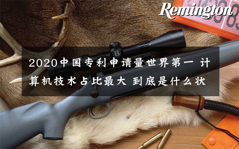 2020中国专利申请量世界第一 计算机技术占比最大 到底是什么状况?