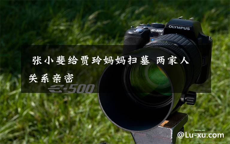 张小斐给贾玲妈妈扫墓 两家人关系亲密