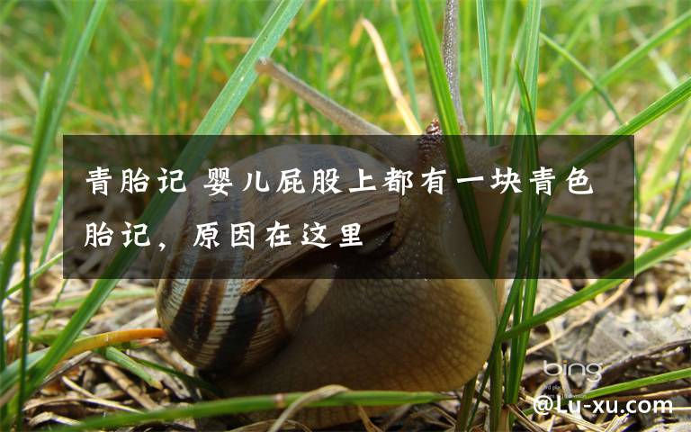 青胎记 婴儿屁股上都有一块青色胎记,原因在这里