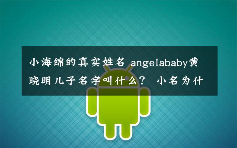 小海绵的真实姓名 angelababy黄晓明儿子名字叫什么? 小名为什么叫小海绵?