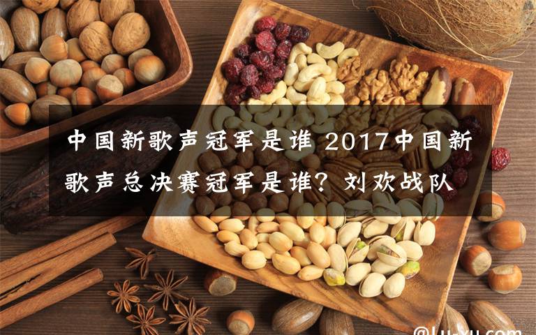 中国新歌声冠军是谁 2017中国新歌声总决赛冠军是谁？刘欢战队扎西平措夺冠