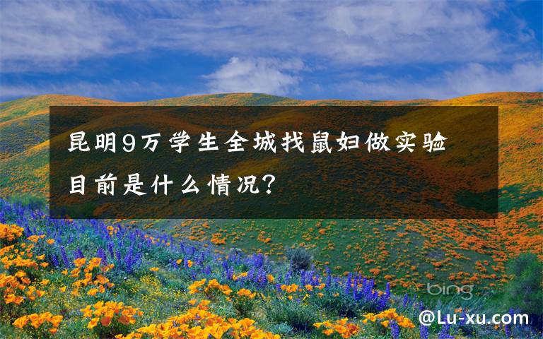 昆明9万学生全城找鼠妇做实验 目前是什么情况?