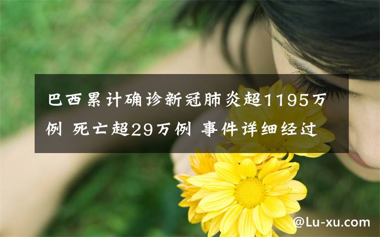 巴西累计确诊新冠肺炎超1195万例 死亡超29万例 事件详细经过!