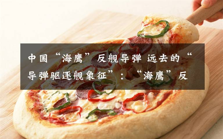 中国“海鹰”反舰导弹 远去的“导弹驱逐舰象征”:“海鹰”反舰导弹