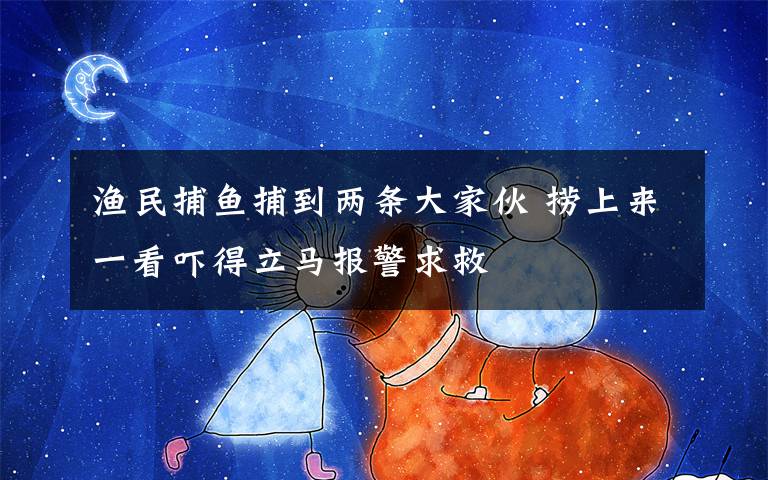渔民捕鱼捕到两条大家伙 捞上来一看吓得立马报警求救