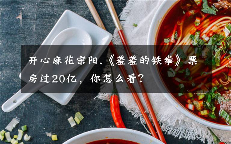 开心麻花宋阳,《羞羞的铁拳》票房过20亿，你怎么看？