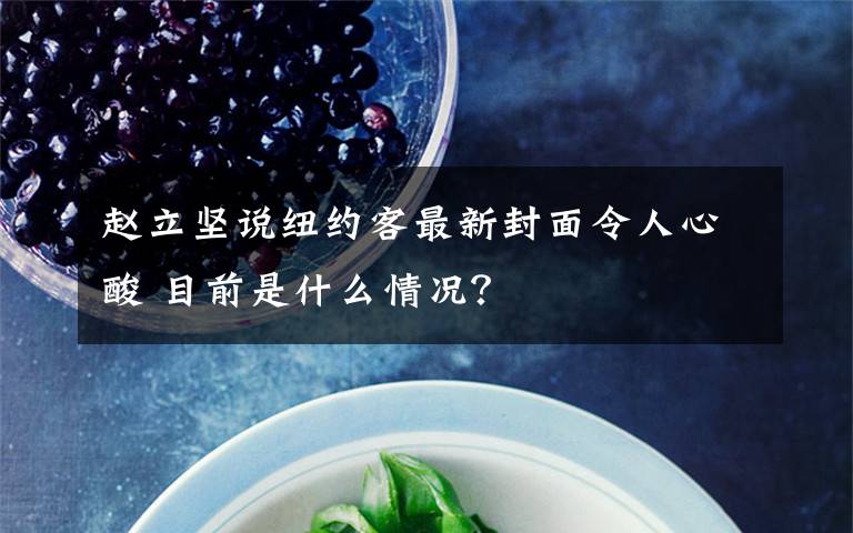 赵立坚说纽约客最新封面令人心酸 目前是什么情况?