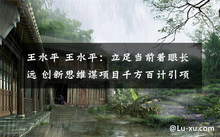 王水平 王水平：立足当前着眼长远 创新思维谋项目千方百计引项目全力以赴上项目