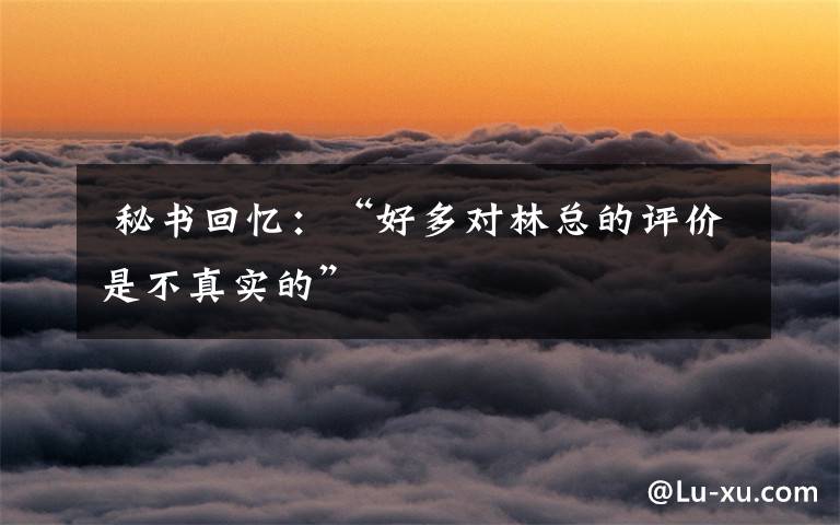 秘书回忆:“好多对林总的评价是不真实的”