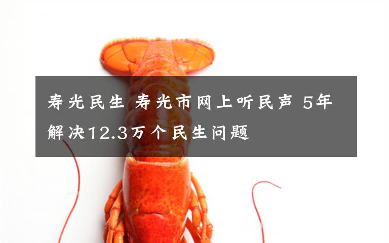 寿光民生 寿光市网上听民声 5年解决12.3万个民生问题