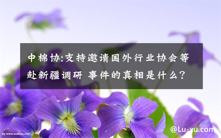 中棉协:支持邀请国外行业协会等赴新疆调研 事件的真相是什么?