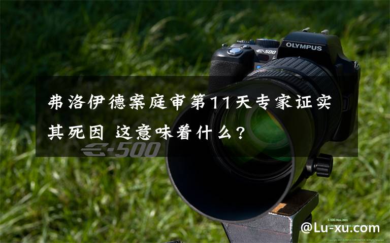 弗洛伊德案庭审第11天专家证实其死因 这意味着什么?