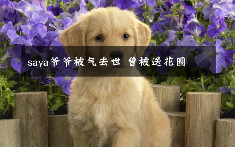 saya爷爷被气去世 曾被送花圈