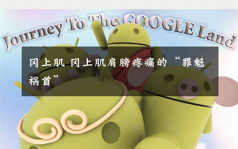 冈上肌 冈上肌肩膀疼痛的“罪魁祸首”