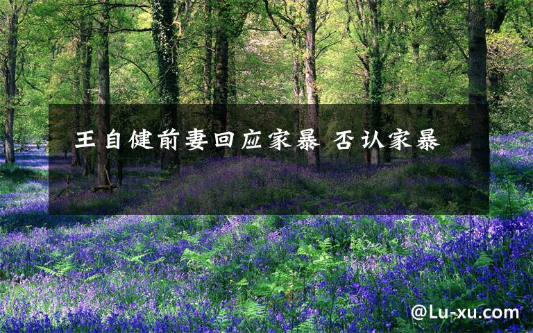 王自健前妻回应家暴 否认家暴