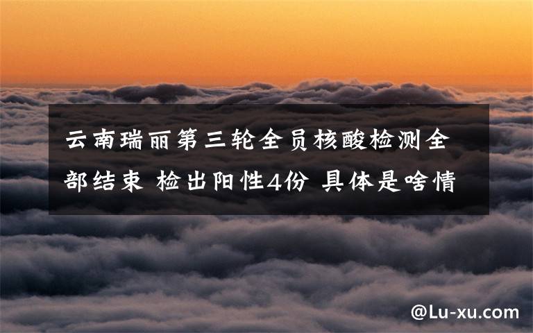 云南瑞丽第三轮全员核酸检测全部结束 检出阳性4份 具体是啥情况?