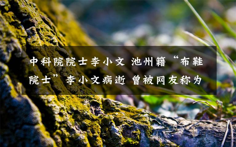 中科院院士李小文 池州籍“布鞋院士”李小文病逝 曾被网友称为“扫地僧”