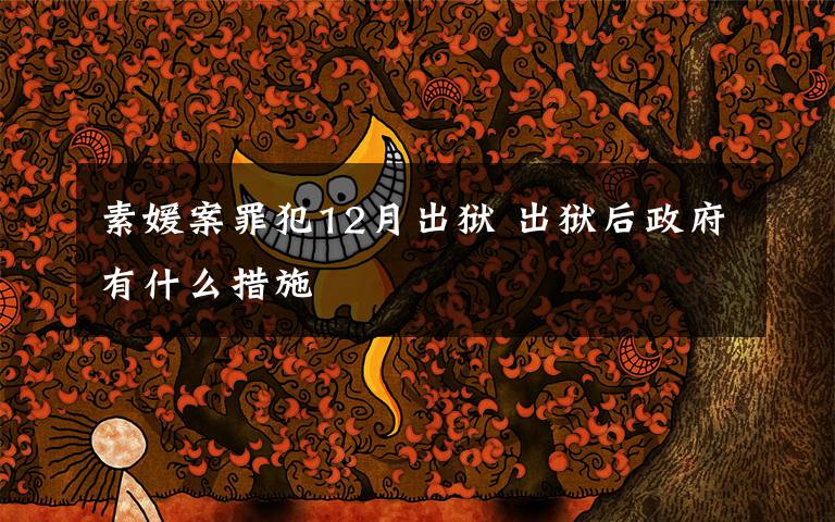 素媛案罪犯12月出狱 出狱后政府有什么措施