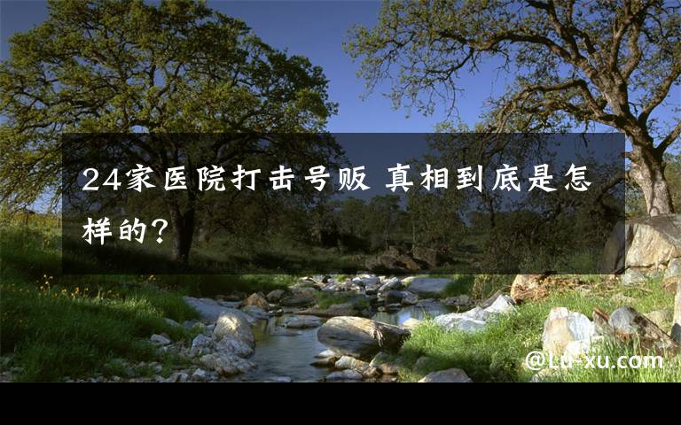24家医院打击号贩 真相到底是怎样的?