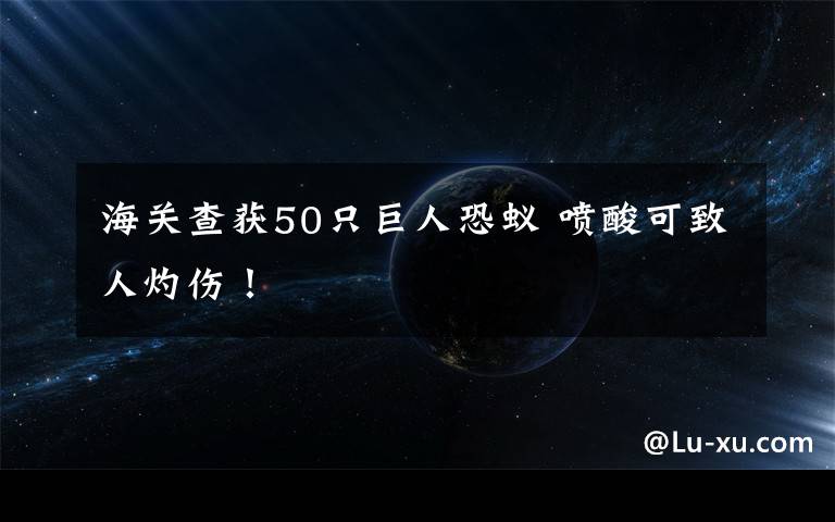 海关查获50只巨人恐蚁 喷酸可致人灼伤!