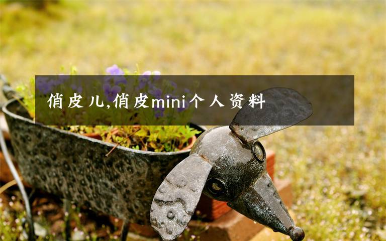俏皮儿,俏皮mini个人资料