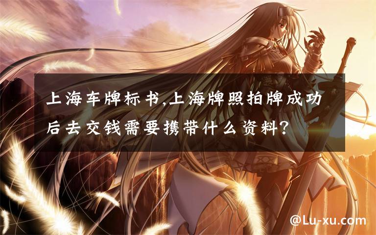 上海车牌标书,上海牌照拍牌成功后去交钱需要携带什么资料?