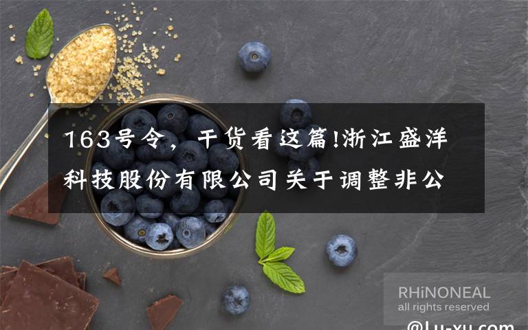 163号令，干货看这篇!浙江盛洋科技股份有限公司关于调整非公开发行A股股票方案的公告