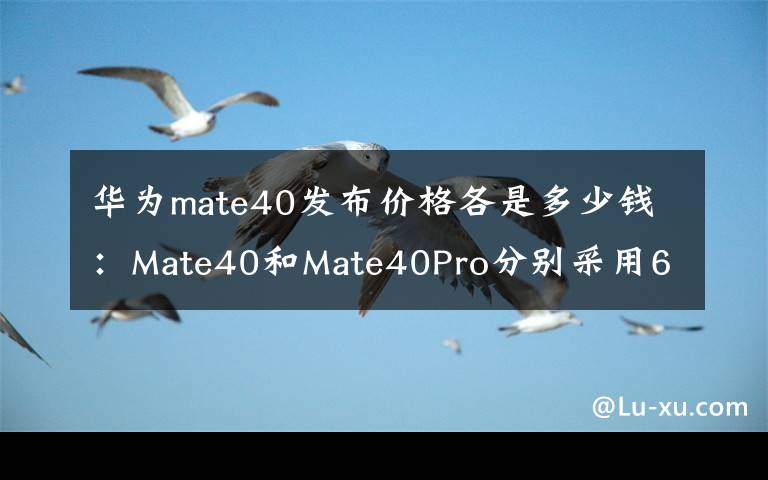 华为mate40发布价格各是多少钱:Mate40和Mate40Pro分别采用6.5英寸和6.76英寸曲面OLED屏幕,刷新