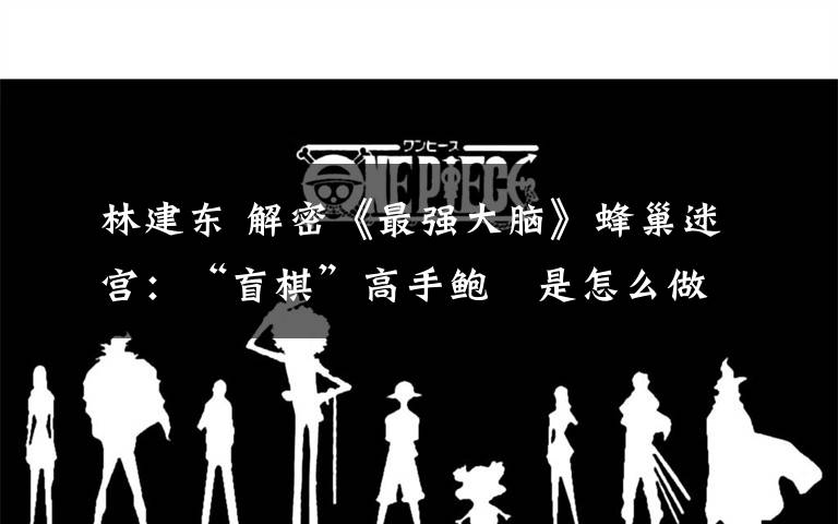 林建东 解密《最强大脑》蜂巢迷宫：“盲棋”高手鲍橒是怎么做到的？