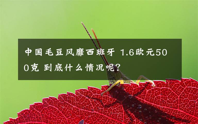中国毛豆风靡西班牙 1.6欧元500克 到底什么情况呢?
