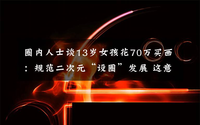 圈内人士谈13岁女孩花70万买画：规范二次元“设圈”发展 这意味着什么?