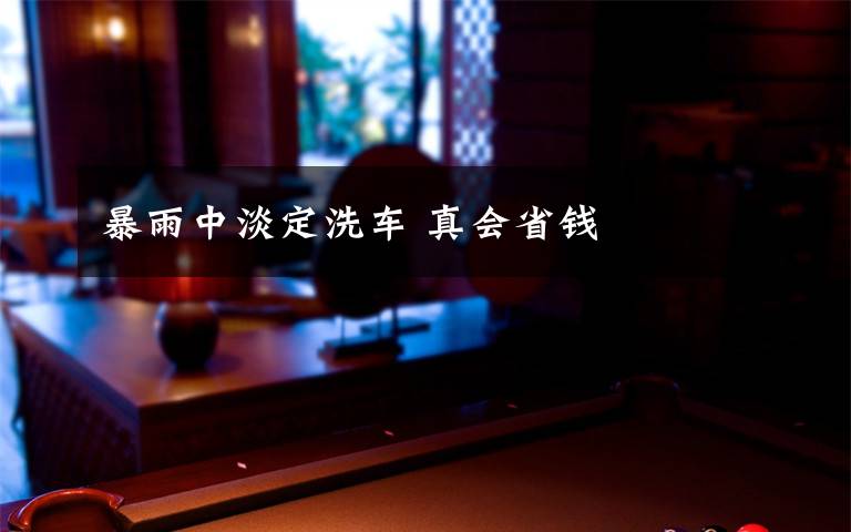 暴雨中淡定洗车 真会省钱