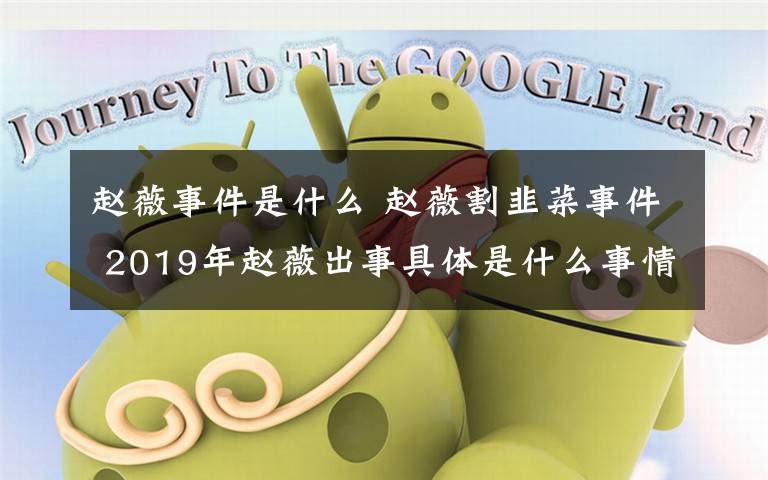 赵薇事件是什么 赵薇割韭菜事件 2019年赵薇出事具体是什么事情