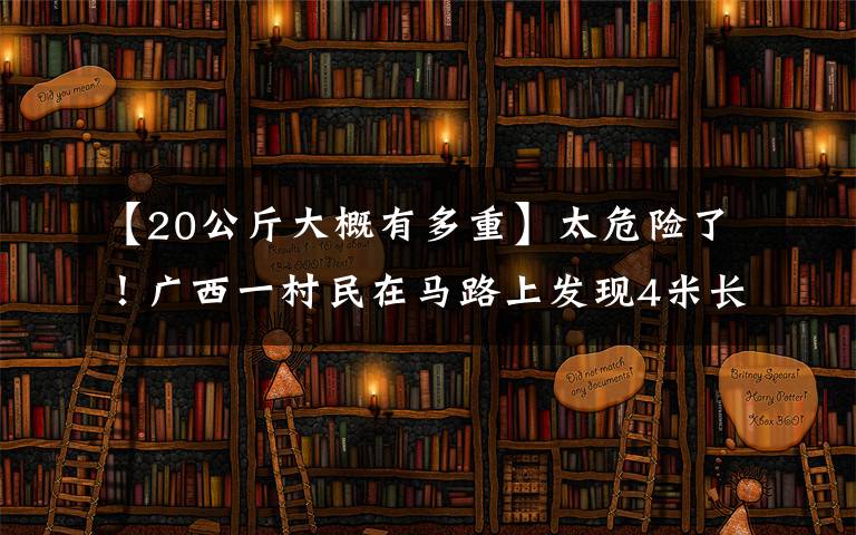 【20公斤大概有多重】太危险了!广西一村民在马路上发现4米长大蟒蛇,近20斤重