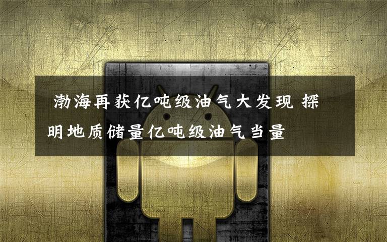 渤海再获亿吨级油气大发现 探明地质储量亿吨级油气当量