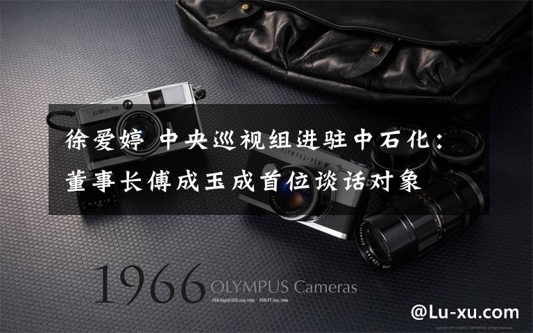 徐爱婷 中央巡视组进驻中石化:董事长傅成玉成首位谈话对象