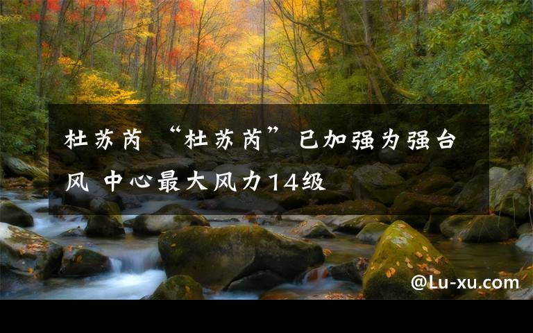 杜苏芮 “杜苏芮”已加强为强台风 中心最大风力14级