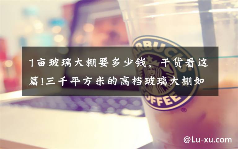 1亩玻璃大棚要多少钱,干货看这篇!三千平方米的高档玻璃大棚如何设计建造,一亩地投资三十万