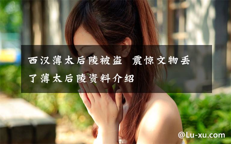 西汉薄太后陵被盗  震惊文物丢了薄太后陵资料介绍