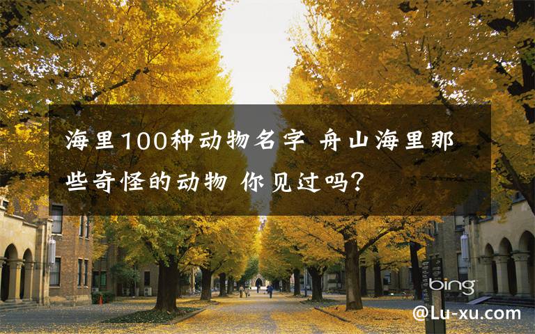 海里100种动物名字 舟山海里那些奇怪的动物 你见过吗?