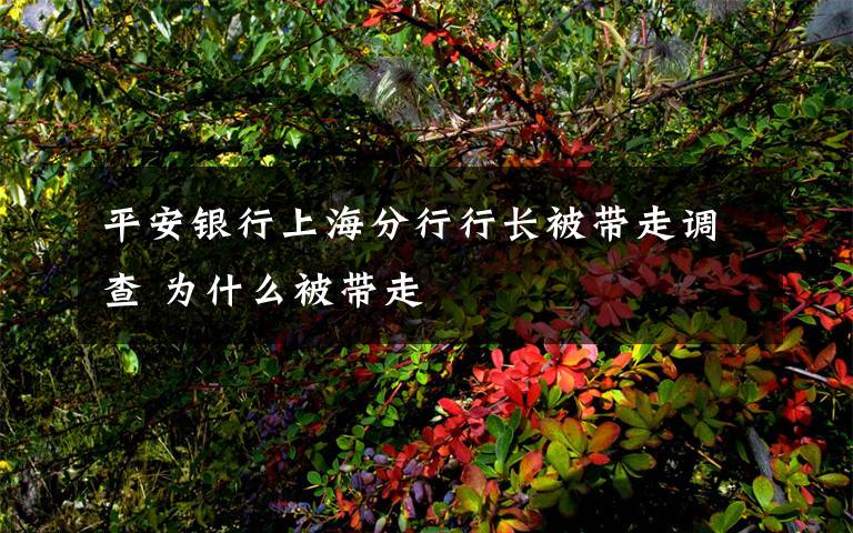 平安银行上海分行行长被带走调查 为什么被带走