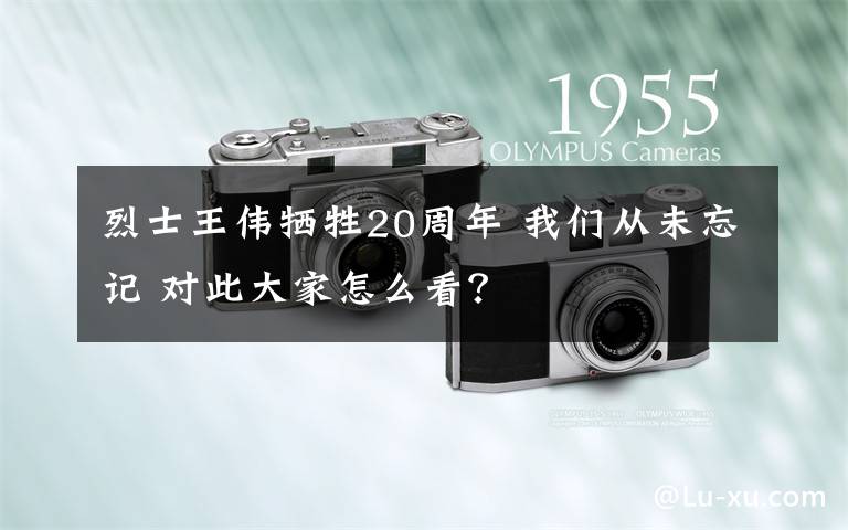 烈士王伟牺牲20周年 我们从未忘记 对此大家怎么看?