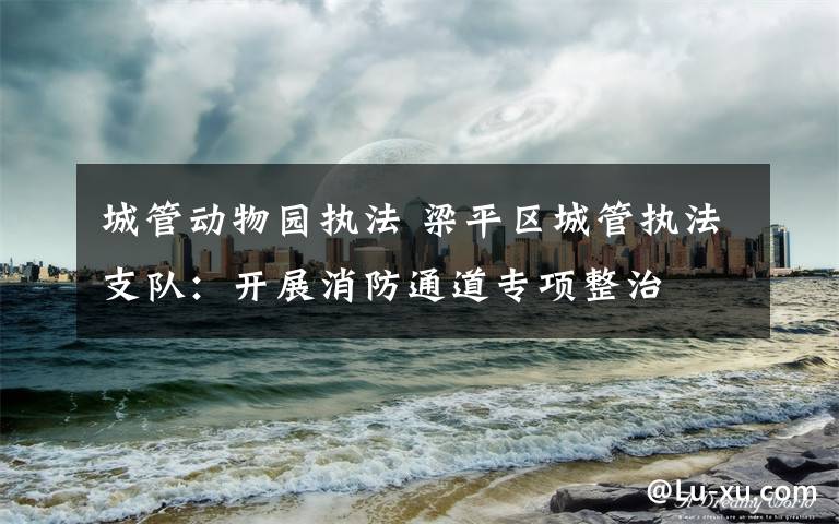 城管动物园执法 梁平区城管执法支队:开展消防通道专项整治